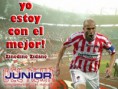 /album/fotogaleria-de-todo/zidane-jpg/